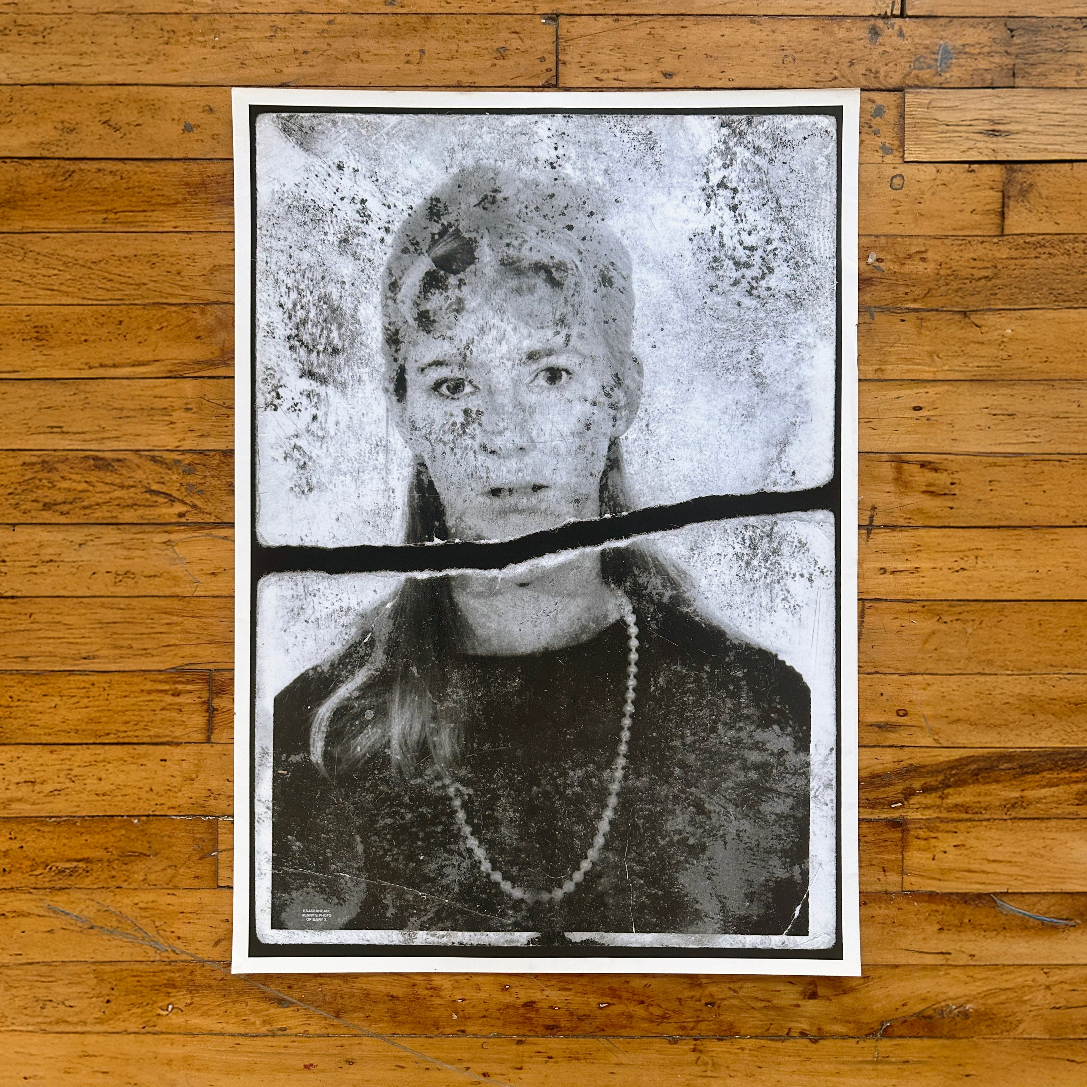 MaryXPoster.jpg?v=1763501514&