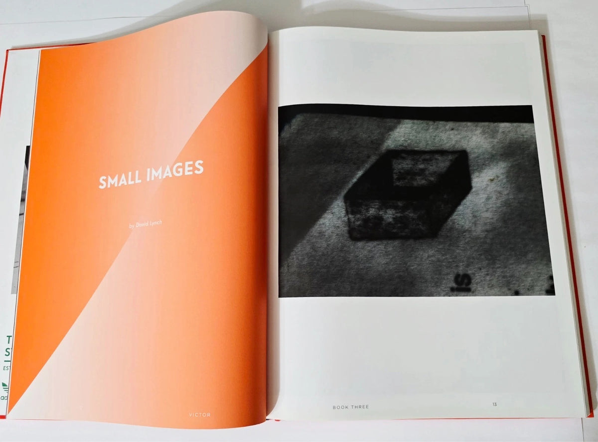 Victor Hardcover Photobook | Sacred Bones Records