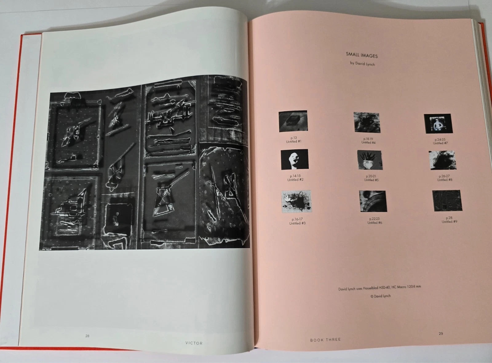 Victor Hardcover Photobook | Sacred Bones Records