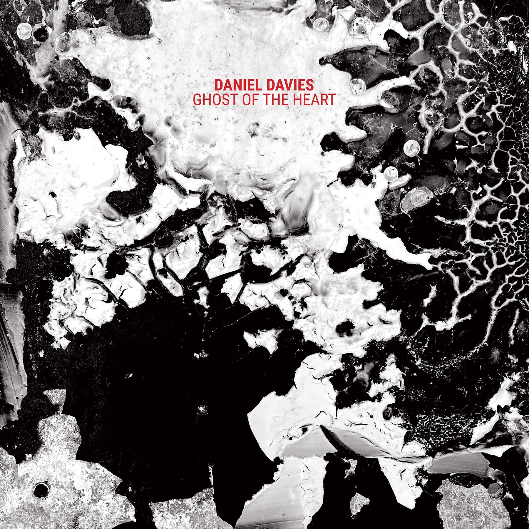 Daniel Davies: Ghost Of The Heart | Sacred Bones Records