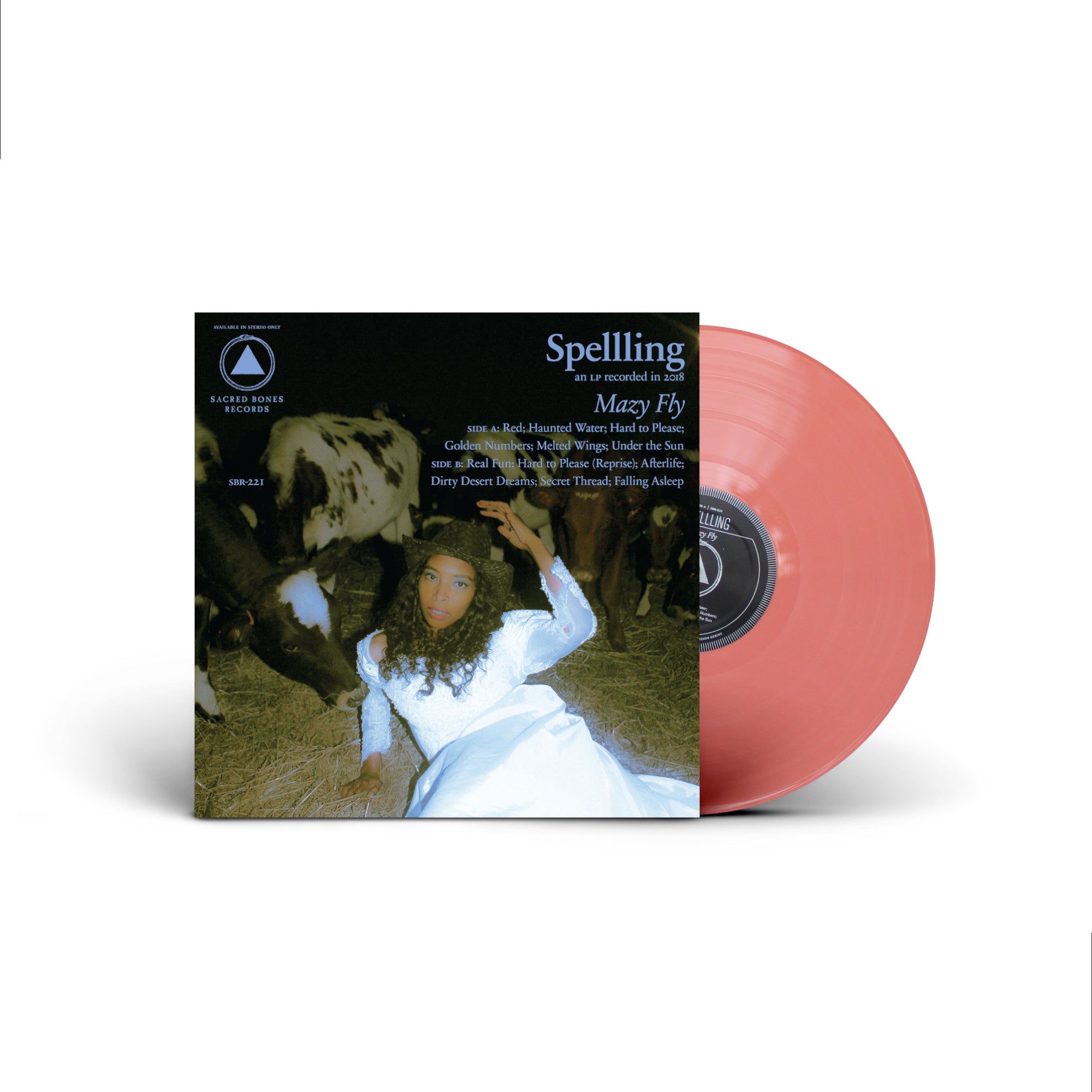 Dreaming Of Sun Vinyl