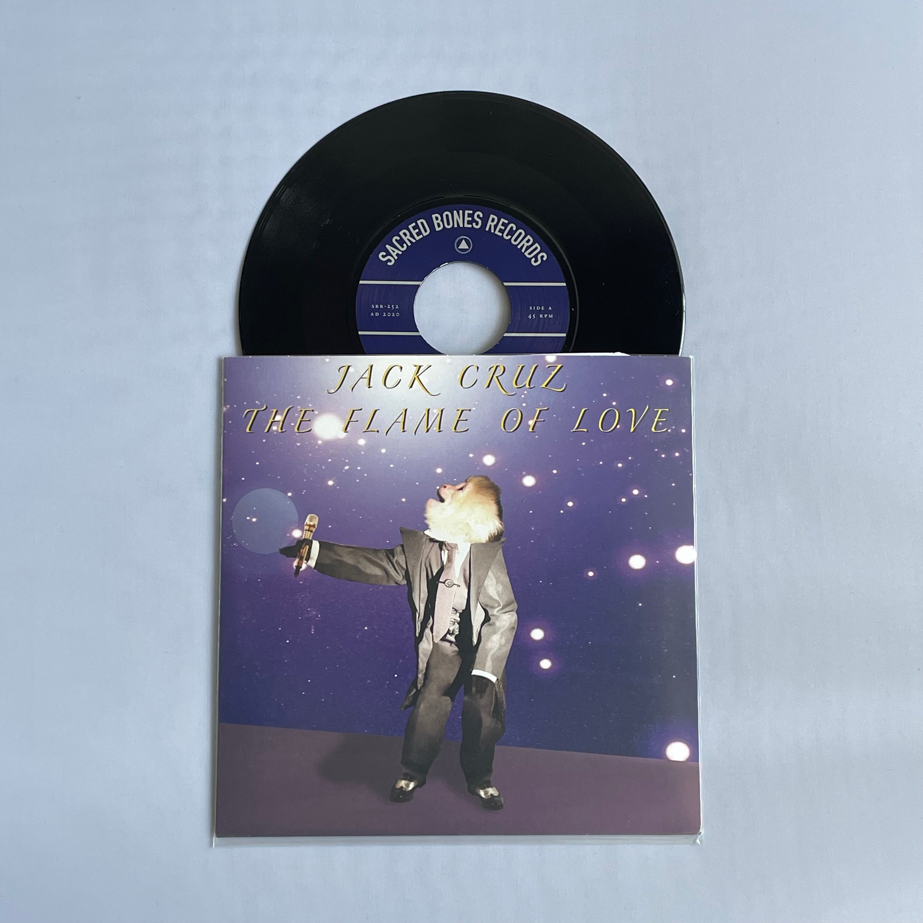 ★ The Flaming Stars レコード LP THE FLAMING STARS – AlternativeTentacles