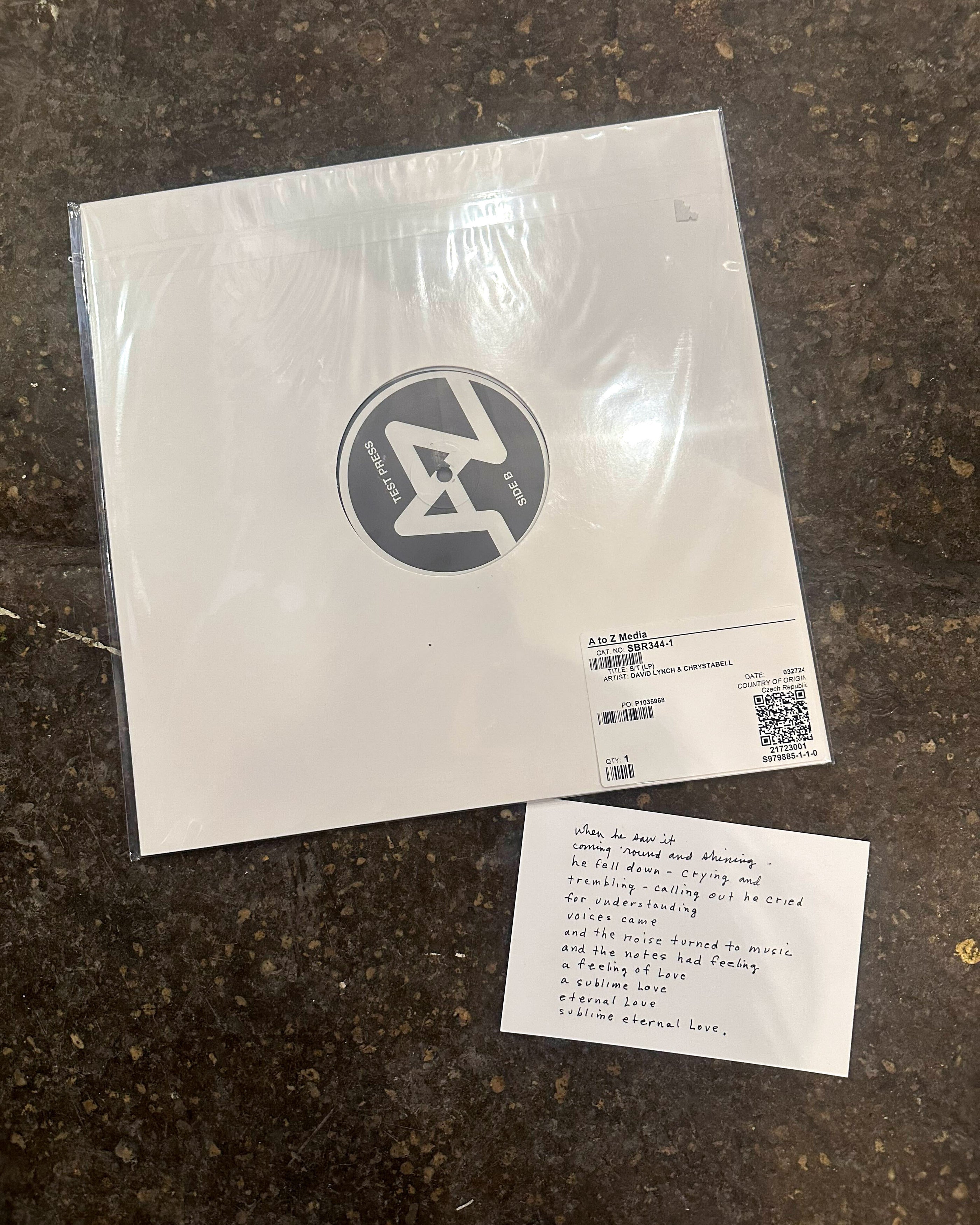 Immigration Solidarity Record Raffle vinyl package with a handwritten lyric sheet on a textured floor background