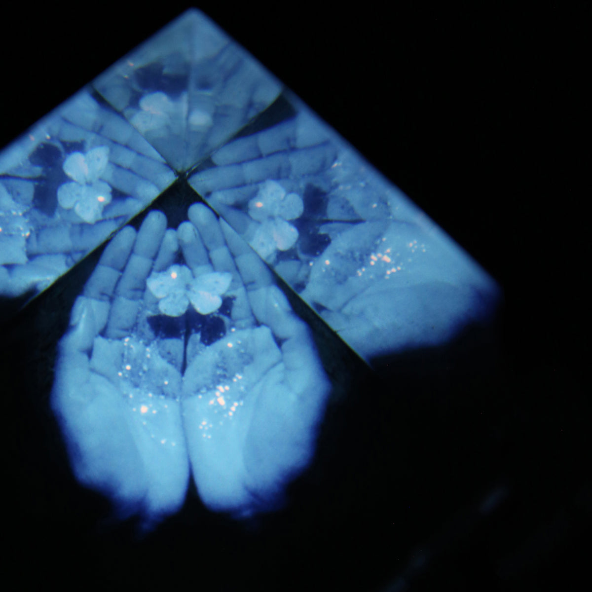 Portrait of My Heart featuring Brendan Yates