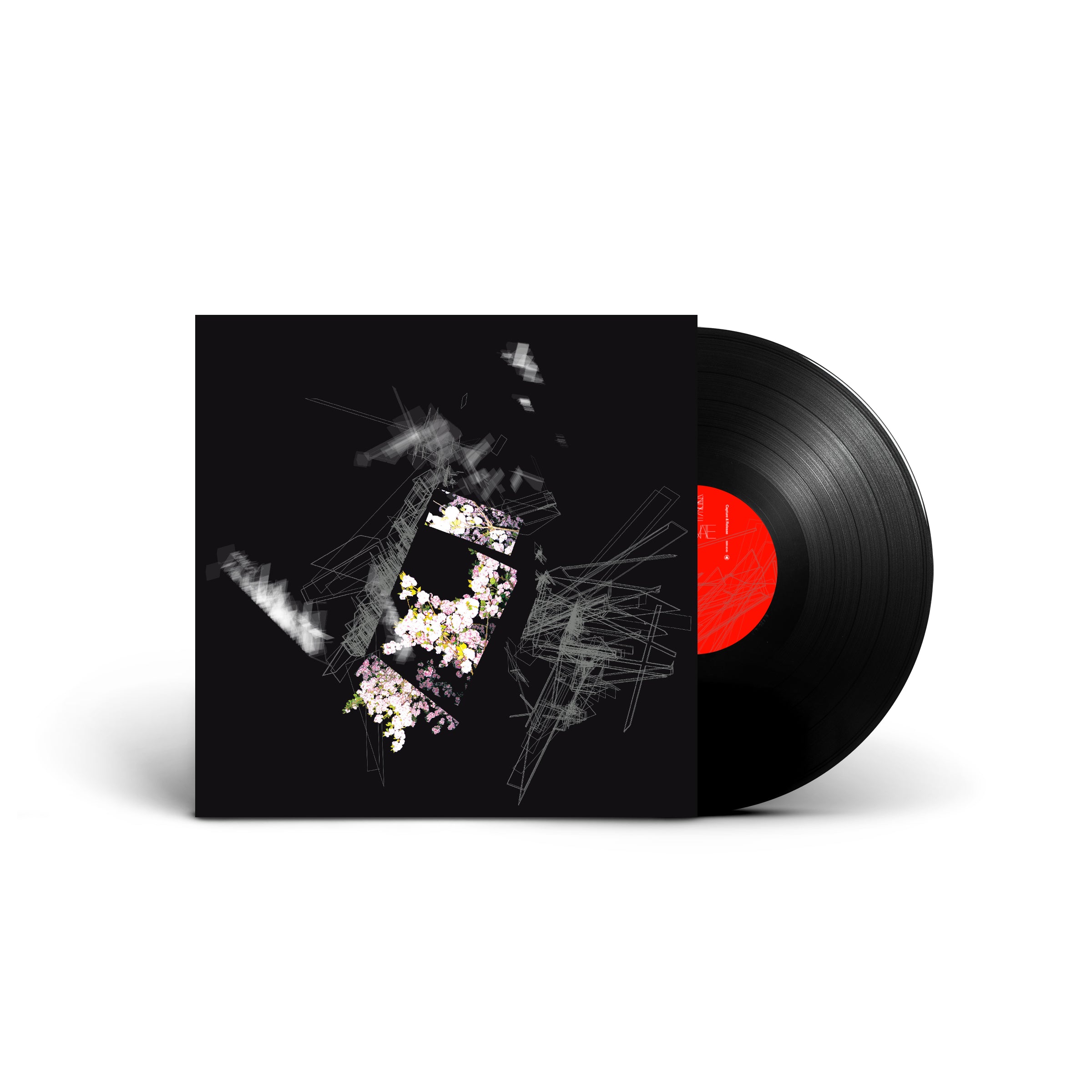CATALYST カタリスト LPレコード Perception (Jazz Dispensary Top Shelf Series) (180g LP) – Craft
