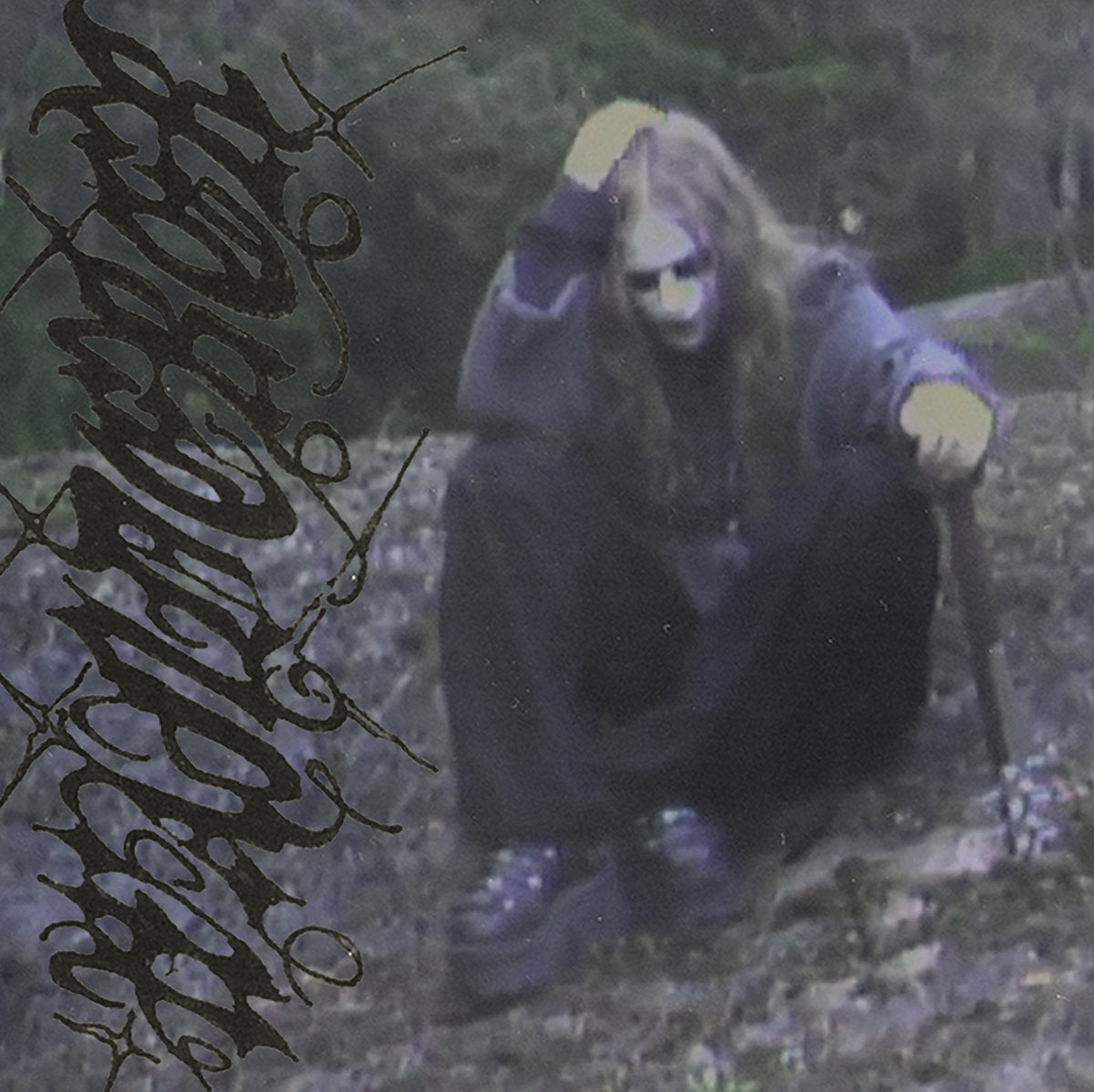 Wanderer | Sacred Bones Records