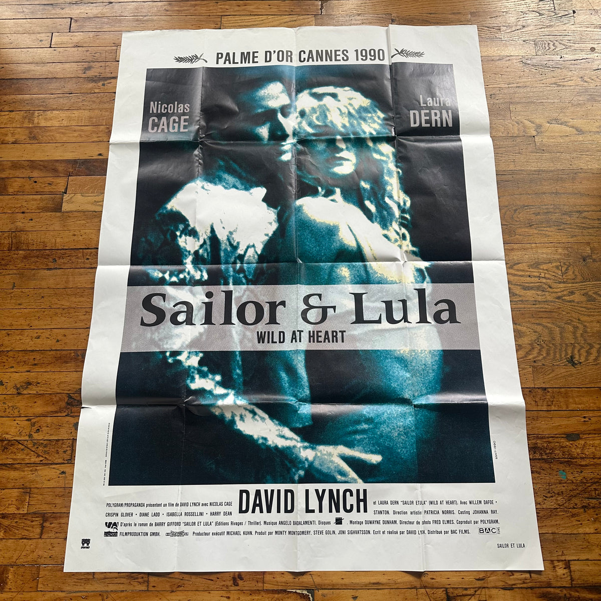 Wild at Heart (Large Folded Poster)