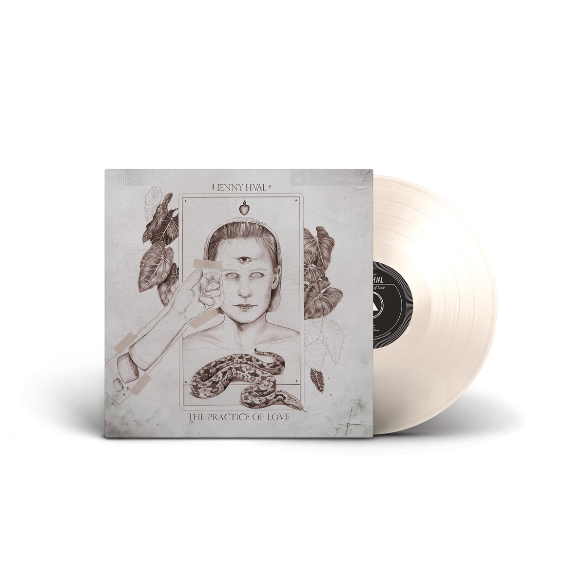 Vinyl record of The Practice of Love featuring surreal artwork of a woman, plants, and a snake on the cover.