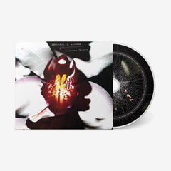 Cellophane Memories CD with close-up of a white and maroon flower on cover and black disc with intricate design