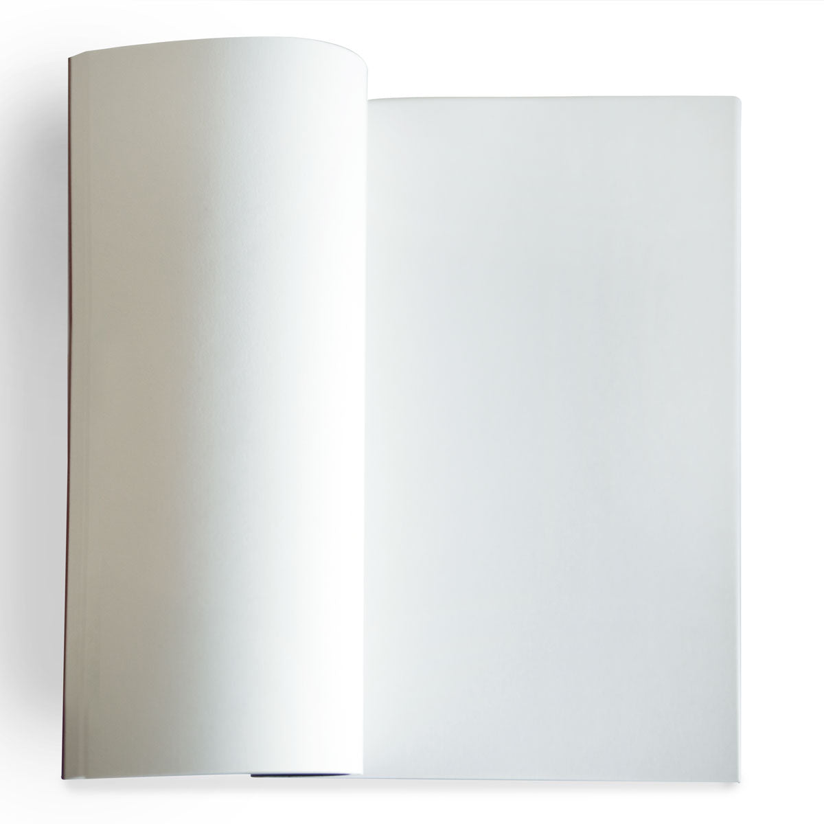 Logo Notebook