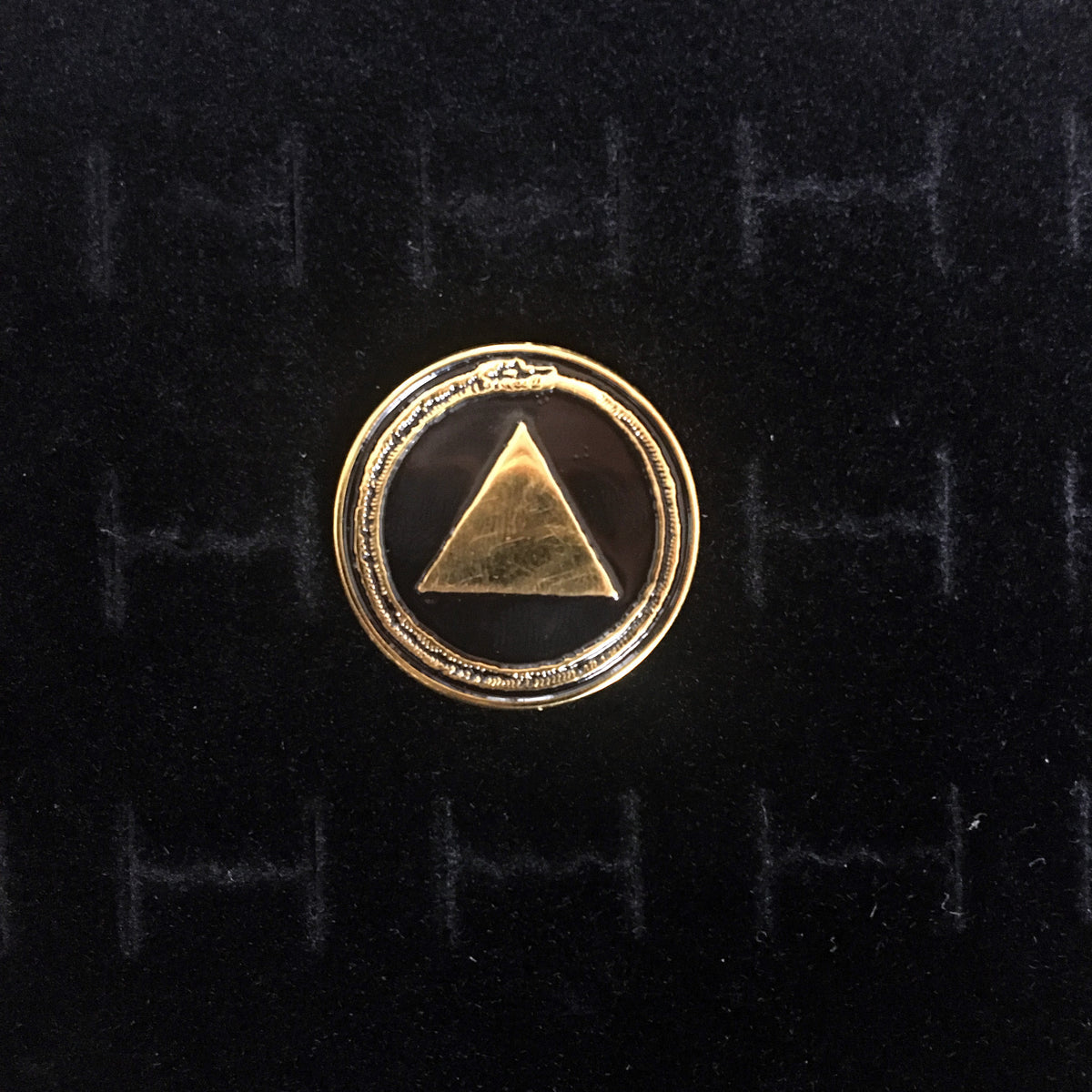 Gold Logo Enamel Pin
