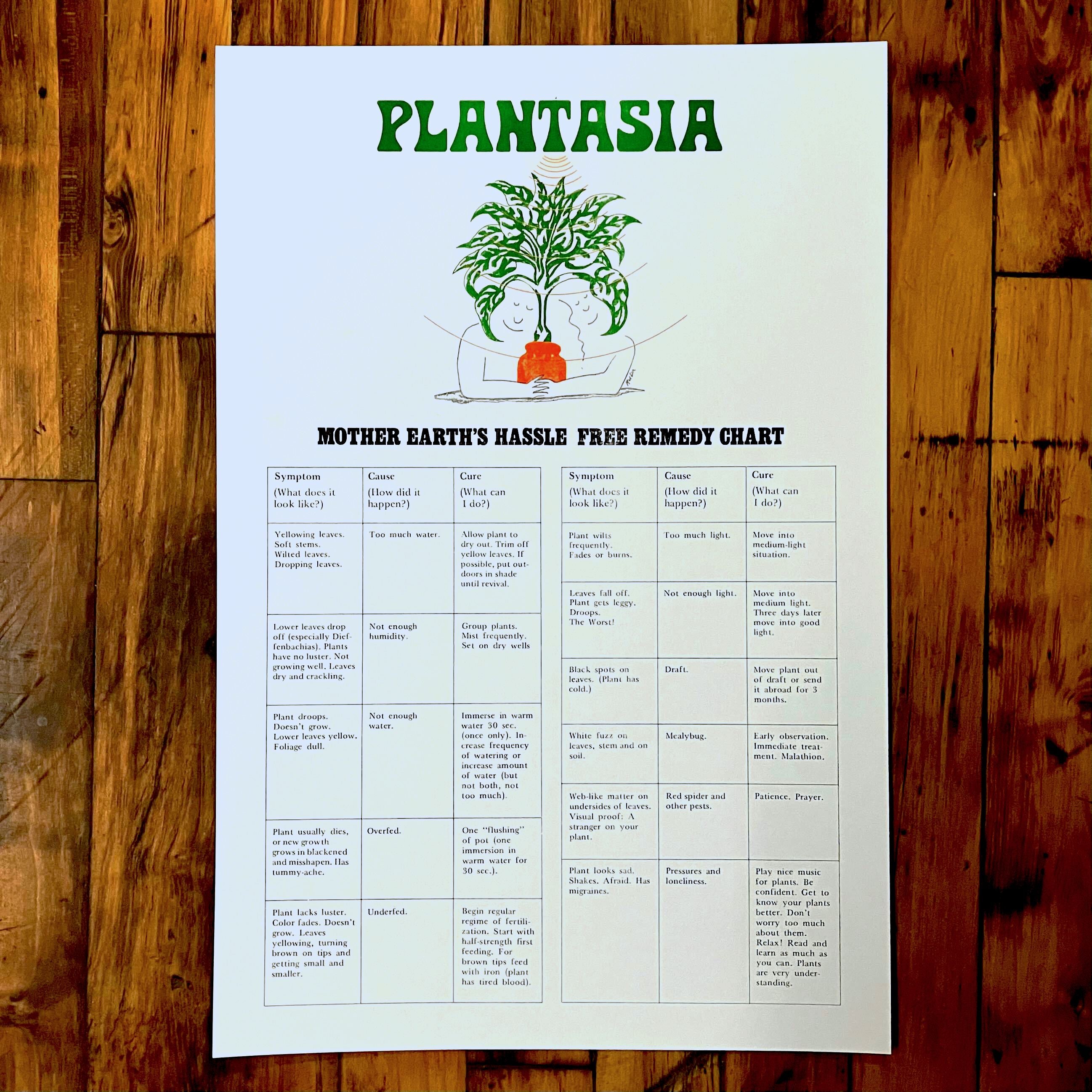 indoor plant care chart Plantasia "Plant Care" Print