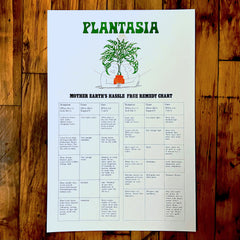 Plantasia "Plant Care" Print