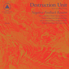 Negative Feedback Resistor