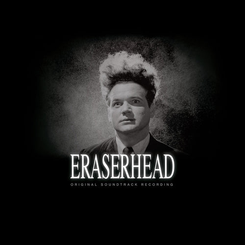 David Lynch Eraserhead レコード LP イレイザーヘッド David Lynch: Eraserhead: Original Soundtrack Recording
